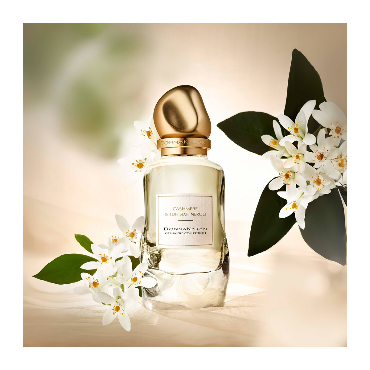 DONNA KARAN Cashmere Collection Cashmere & Tunisian Neroli