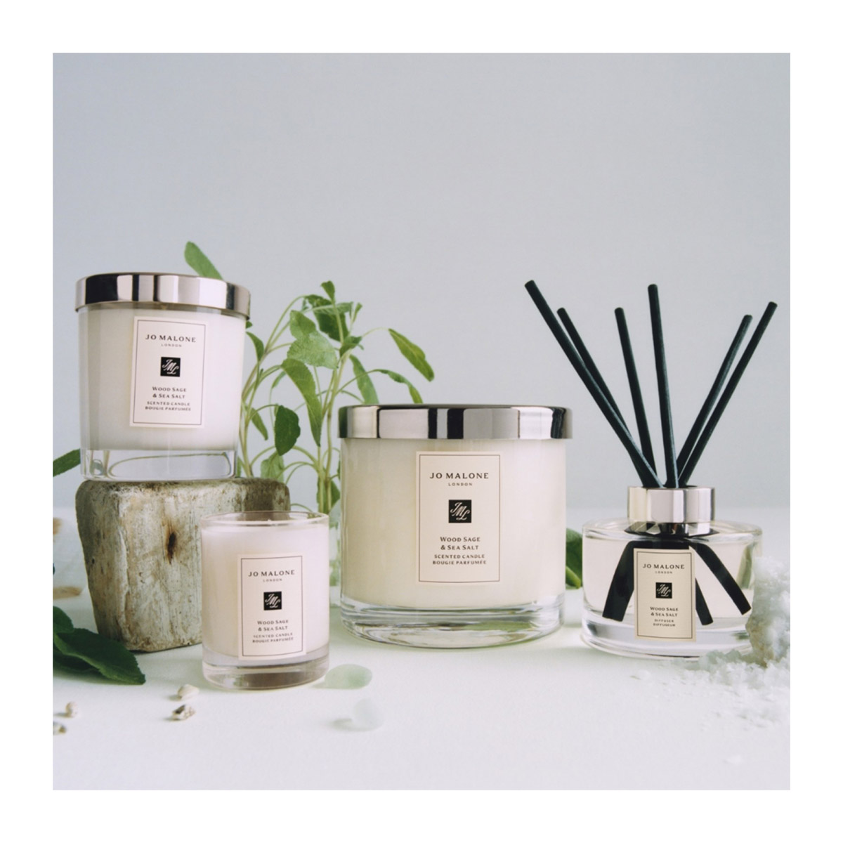 Wood Sage & Sea Salt Diffuser | Cosmopolitan Shop