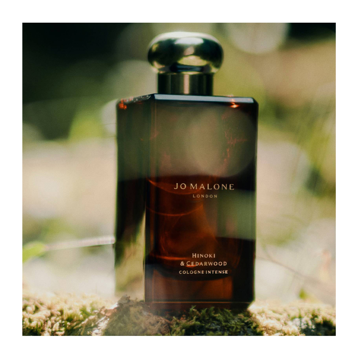 JO MALONE Hinoki & Cedarwood 香水 Hinoki & Cedarwood Cologne Intense | United States E