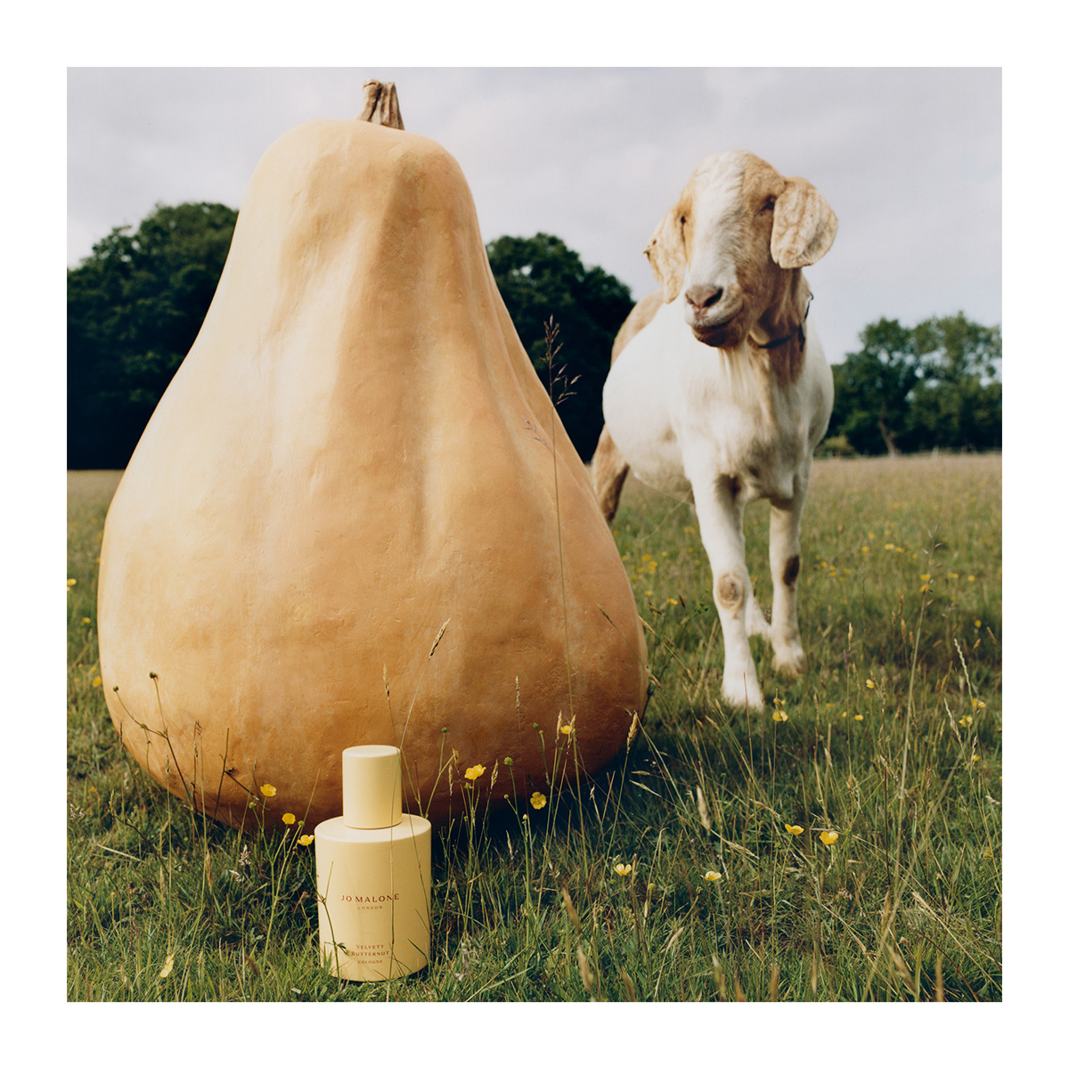 JO MALONE LONDON Velvety Butternut Cologne | Hondos Center
