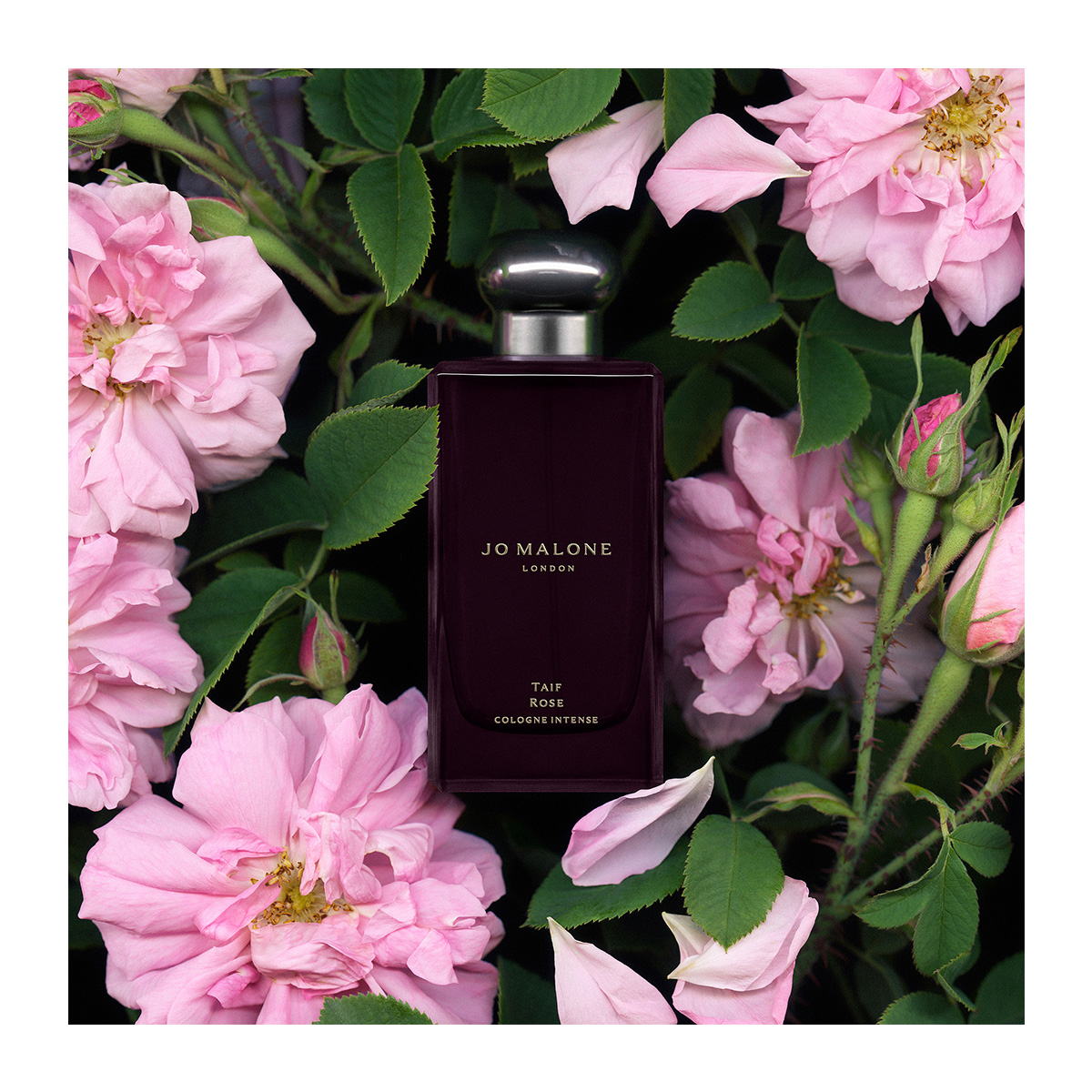 JO MALONE LONDON Taif Rose Cologne Intense | Hondos Center