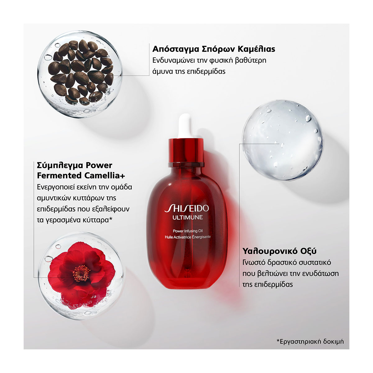 SHISEIDO Ultimune Power Infusing Oil | Hondos Center