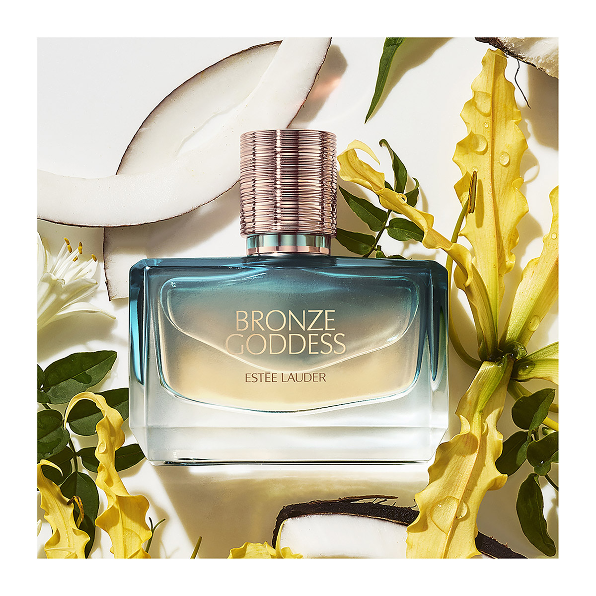 ESTÉE LAUDER Bronze Goddess Nuit Eau de Parfum | Hondos Center