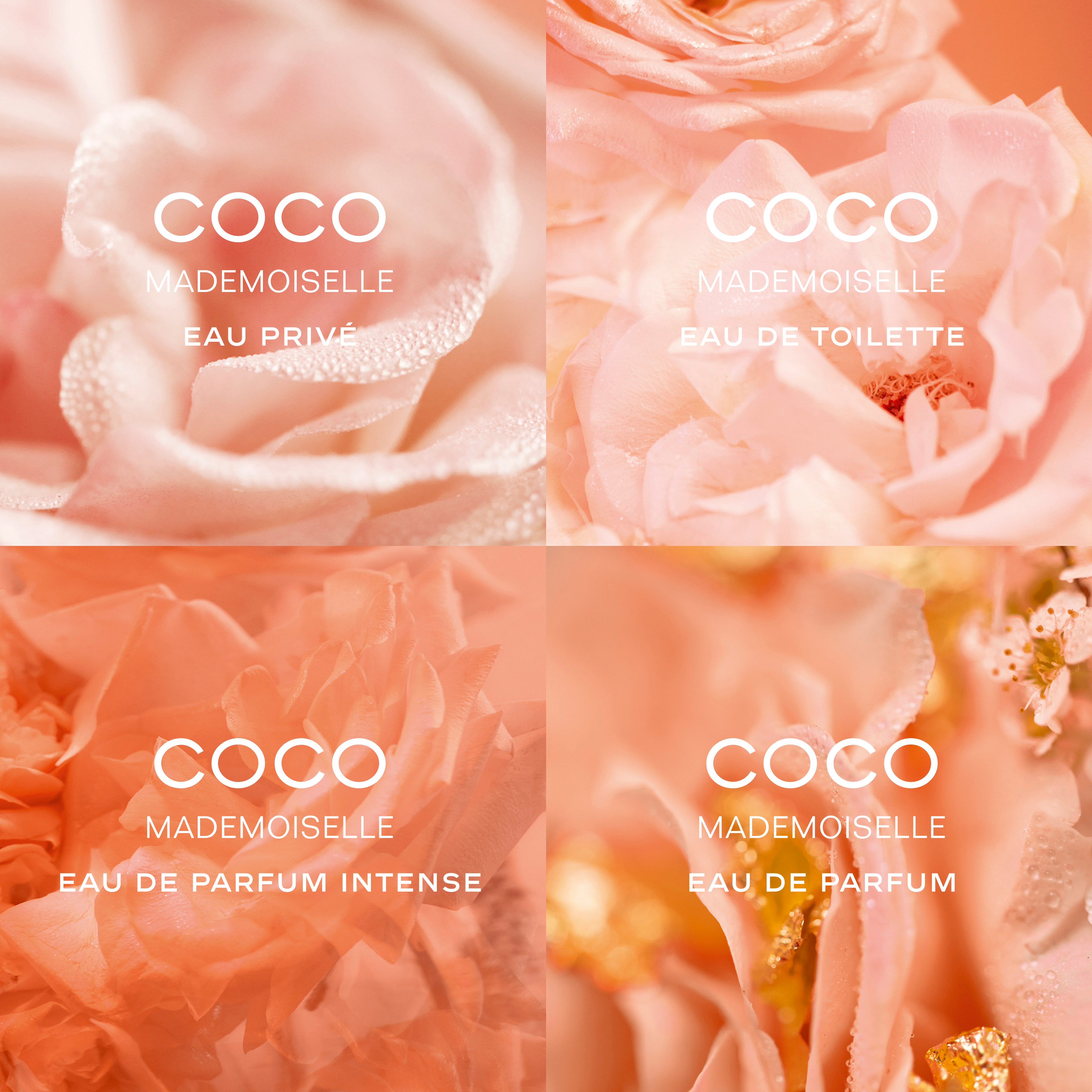 CHANEL COCO MADEMOISELLE | Hondos Center