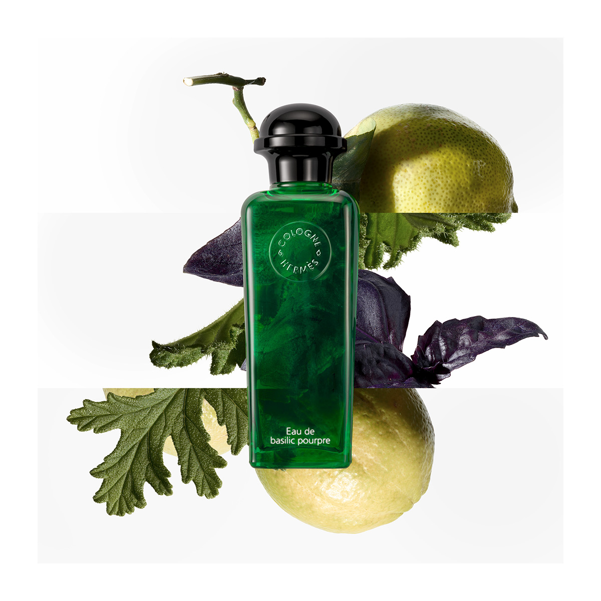 HERMÈS Eau de Basilic Pourpre, Eau de Cologne | Hondos Center