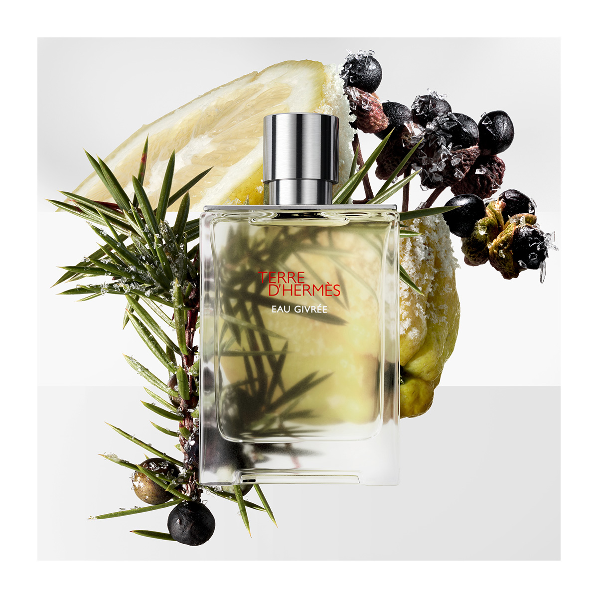 HERMÈS Terre d'Hermès Eau Givrée, Eau de Parfum | Hondos Center
