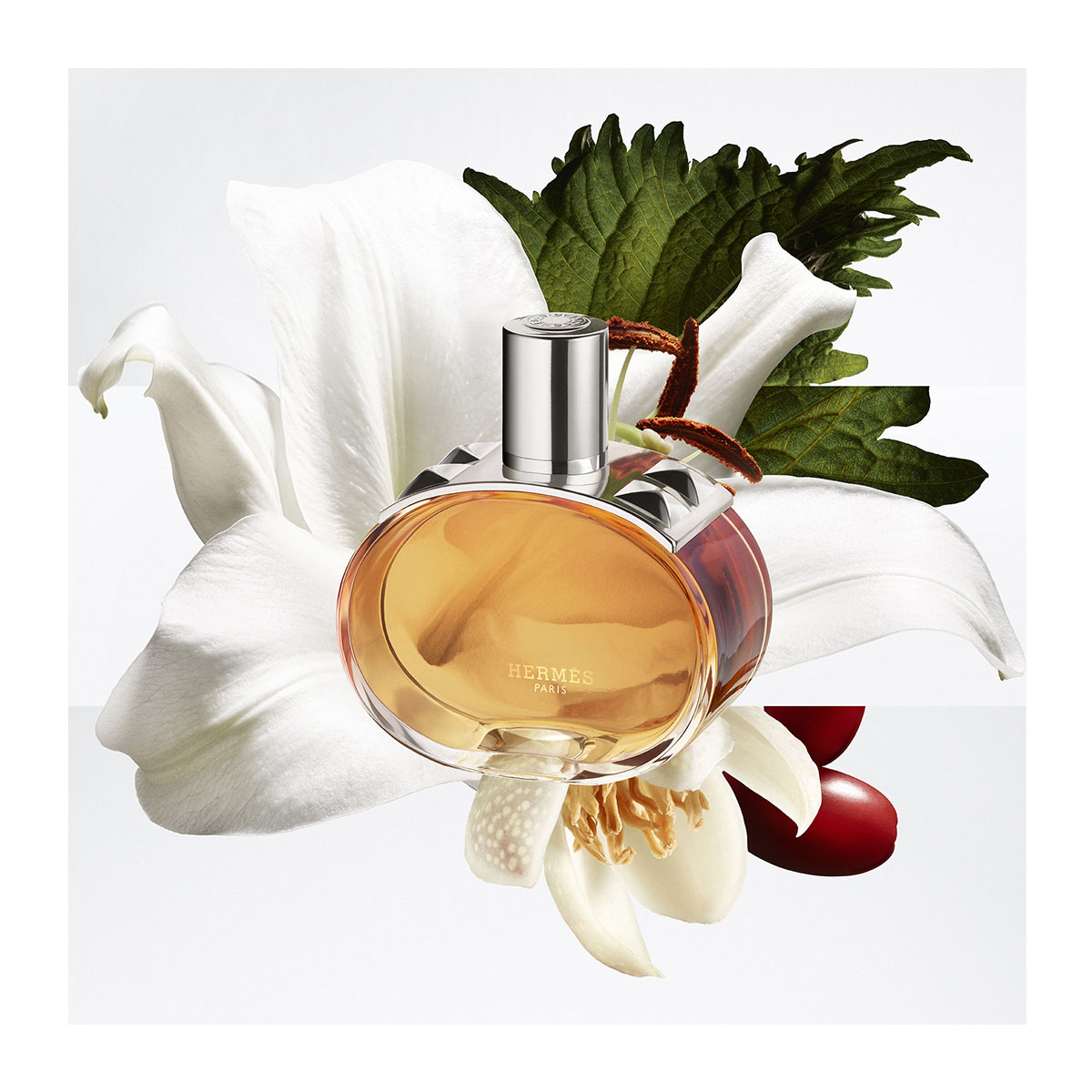 HERMÈS Barénia Pleine Fleur,Eau De Parfum | Hondos Center