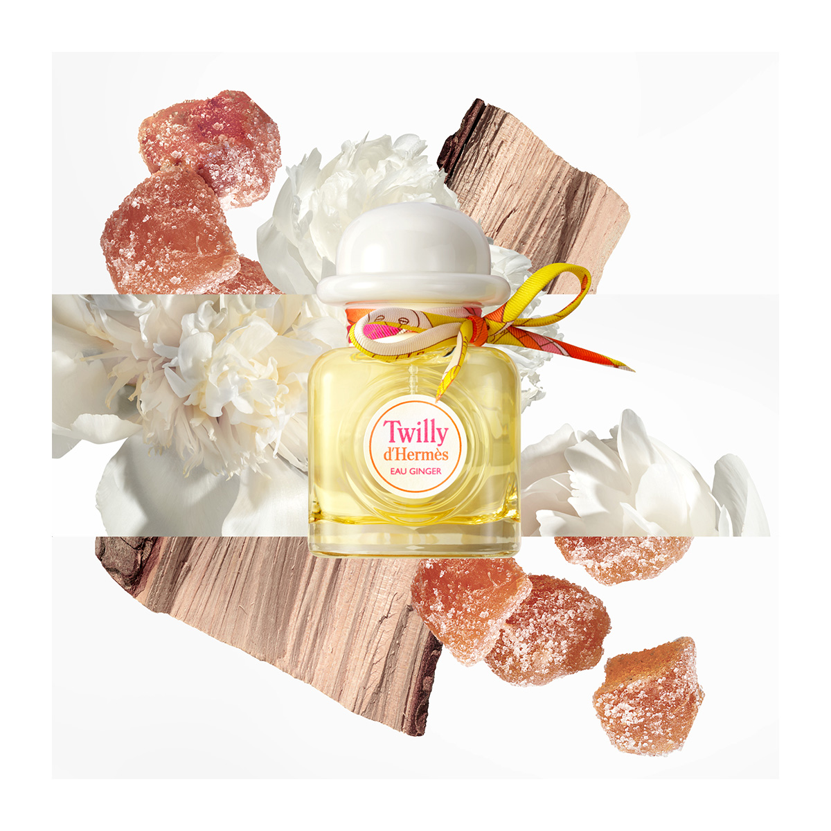 HERMÈS Twilly d'Hermès Eau Ginger, Eau de Parfum | Hondos Center