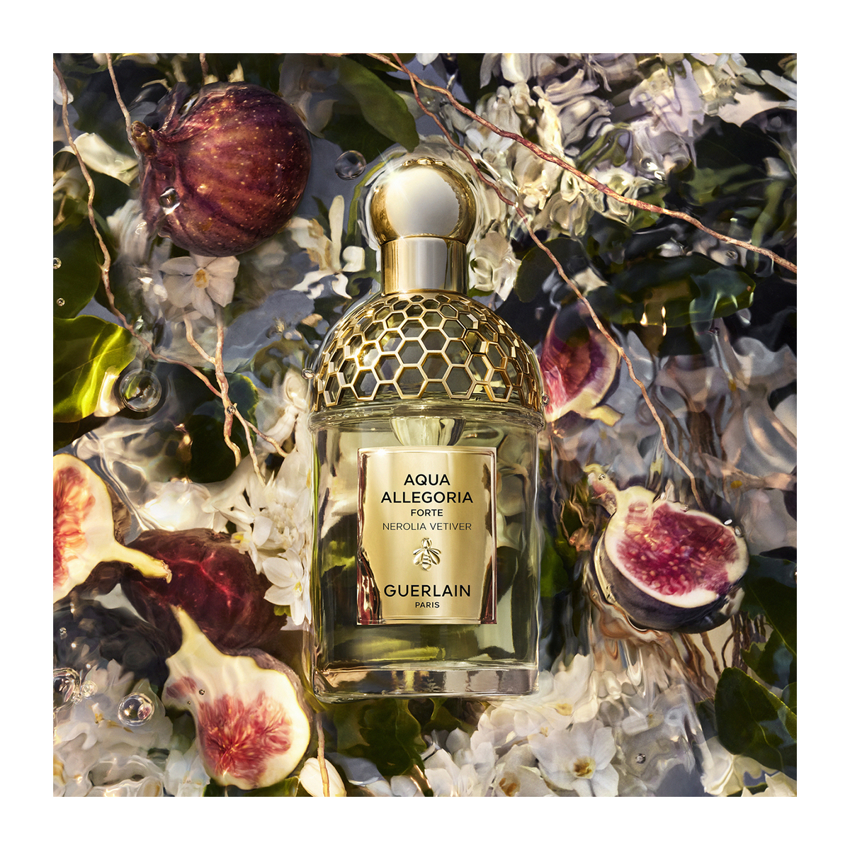 GUERLAIN Aqua Allegoria Forte Nerolia Vetiver Eau De Parfum 