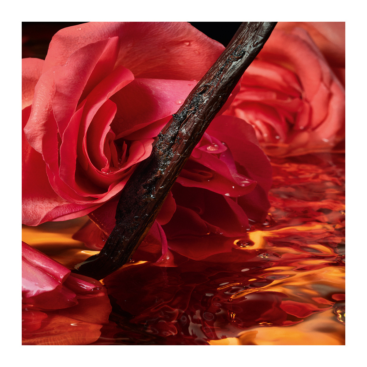 GUERLAIN Shalimar Millésime Rose Eau de Parfum – Limited Edition