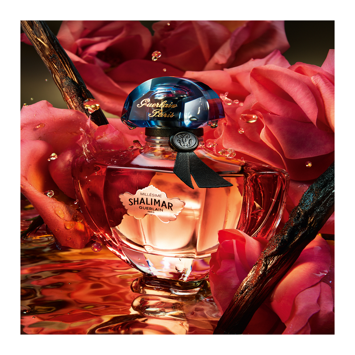 3346470624627_P_3.jpg?version=