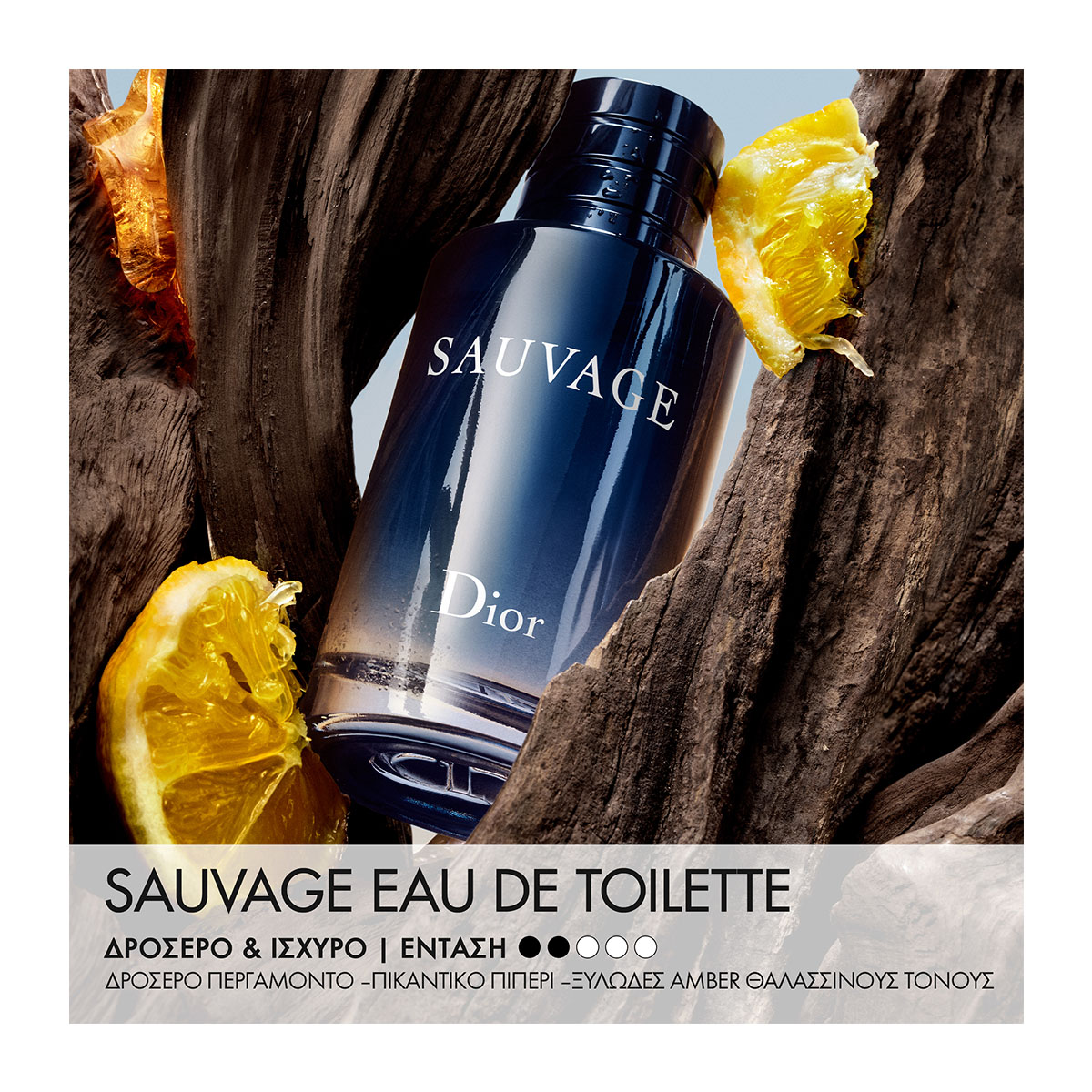 DIOR Sauvage Eau De Toilette | Hondos Center