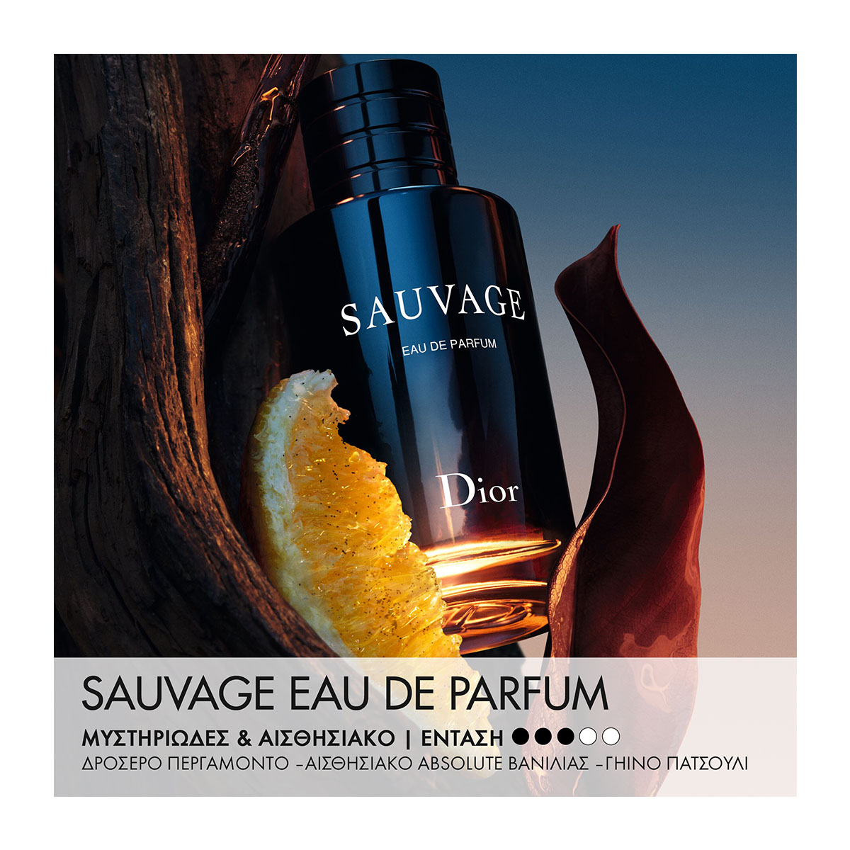 DIOR Sauvage Eau De Parfum Hondos Center