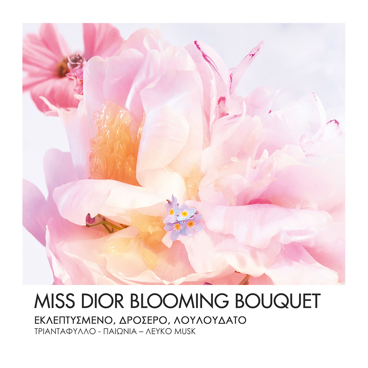 DIOR Miss Dior Blooming Bouquet Eau De Toilette Roller Pearl