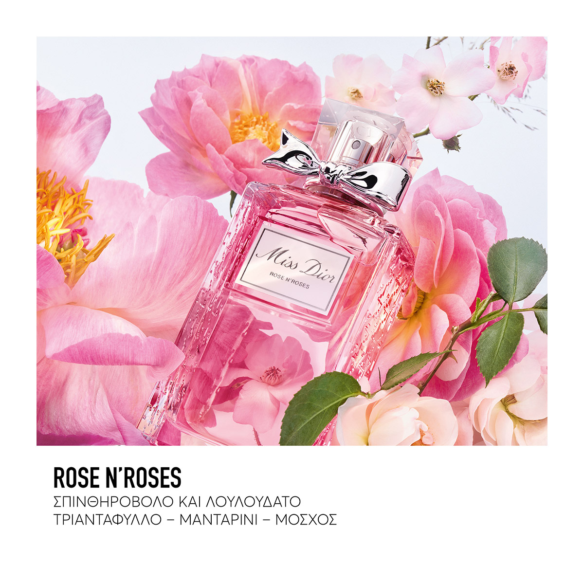 【正規品】Miss Dior ROSE N' ROSES 100mL Miss Dior Rose N'Roses by Christian Dior 100ml EDT — Perfume NZ