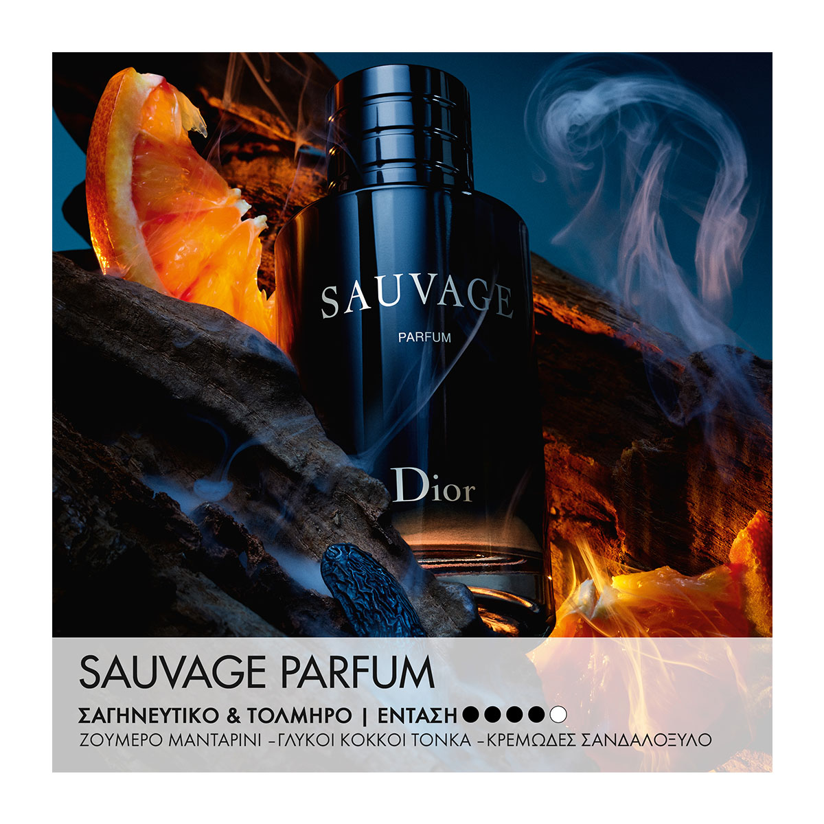 DIOR Sauvage Parfum Men's Fragrance Citrus and Woody Notes