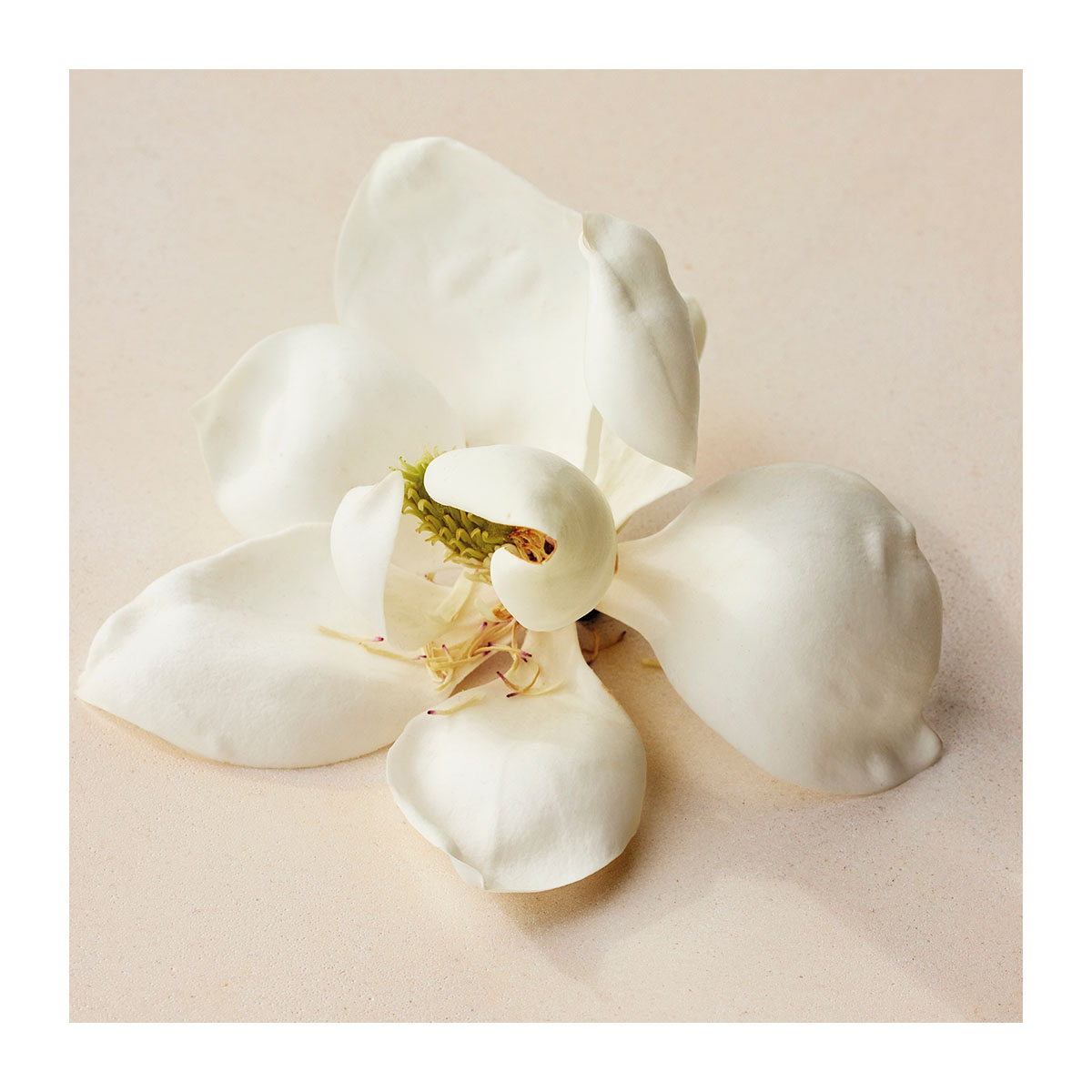 Chloé ATELIER DES FLEURS MAGNOLIA ALBA CHLOÉ Atelier Des Fleurs Magnolia Alba Eau De Parfum | Hondos Center