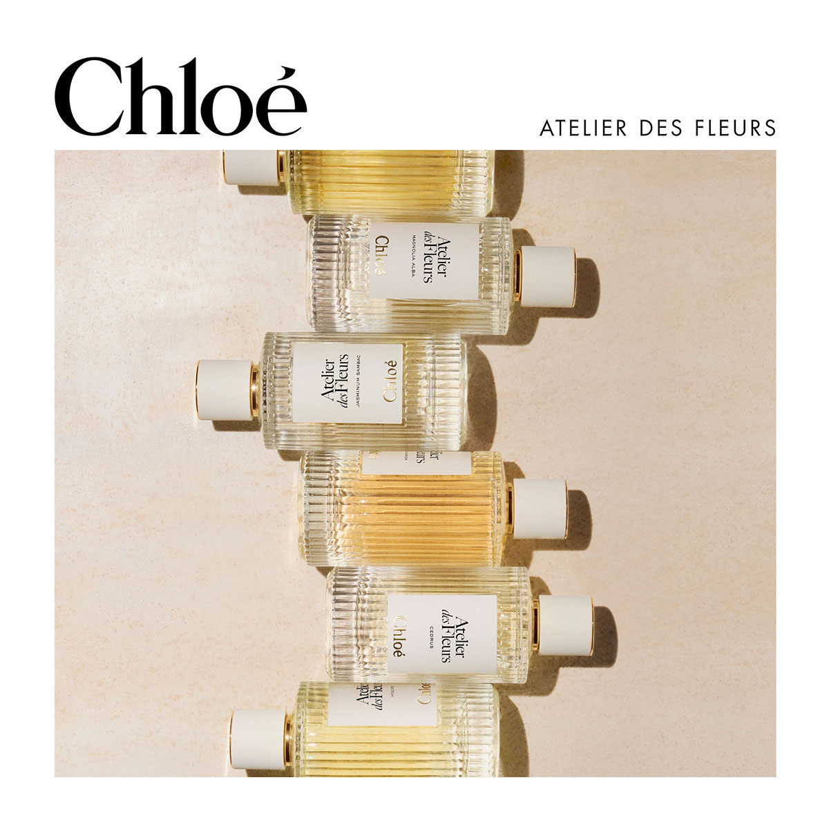 CHLOÉ Atelier Des Fleurs Magnolia Alba Eau De Parfum | Hondos Center