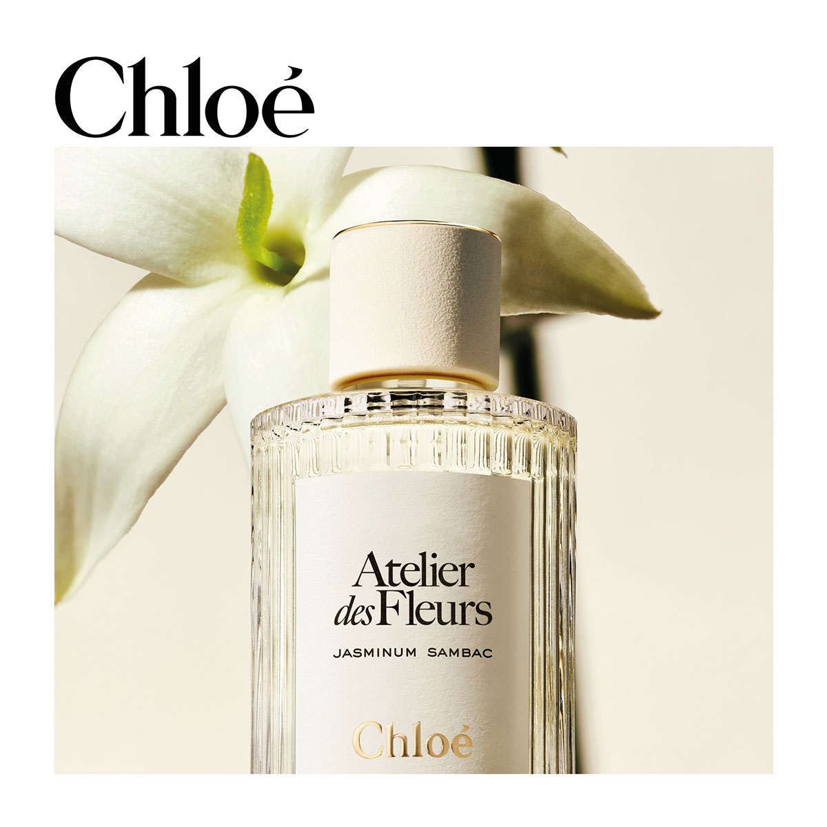 CHLOÉ Atelier Des Fleurs Jasminum Sambac Eau De Parfum | Hondos Center