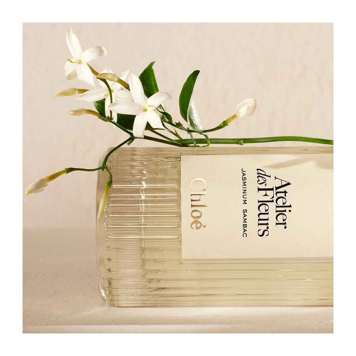 CHLOÉ Atelier Des Fleurs Jasminum Sambac Eau De Parfum | Hondos Center