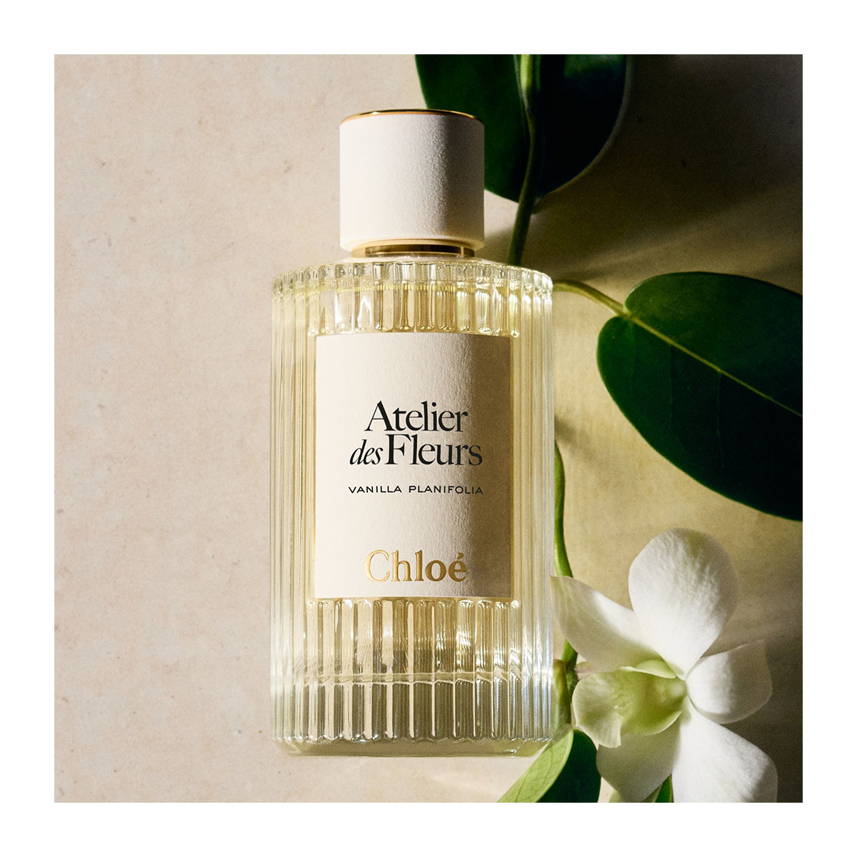 CHLOÉ Atelier Des Fleurs Vanilla Planifolia Eau De Parfum | Hondos