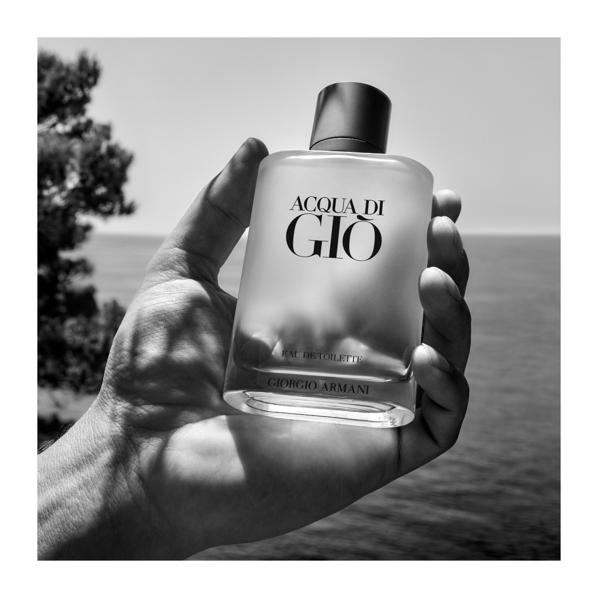 3614273955522_P_5.jpg?version=