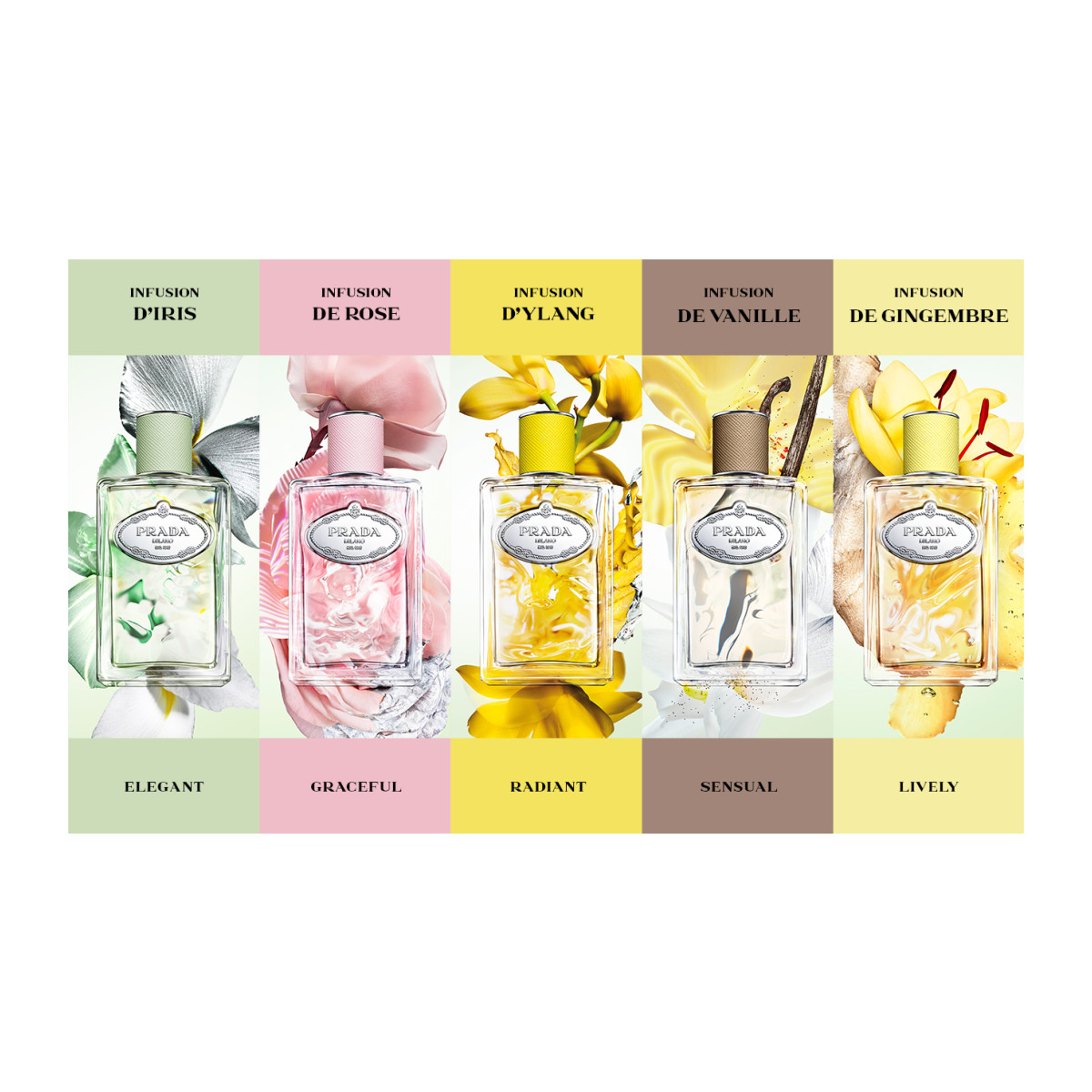 PRADA Infusion De Gingembre Eau de Parfum | Hondos Center