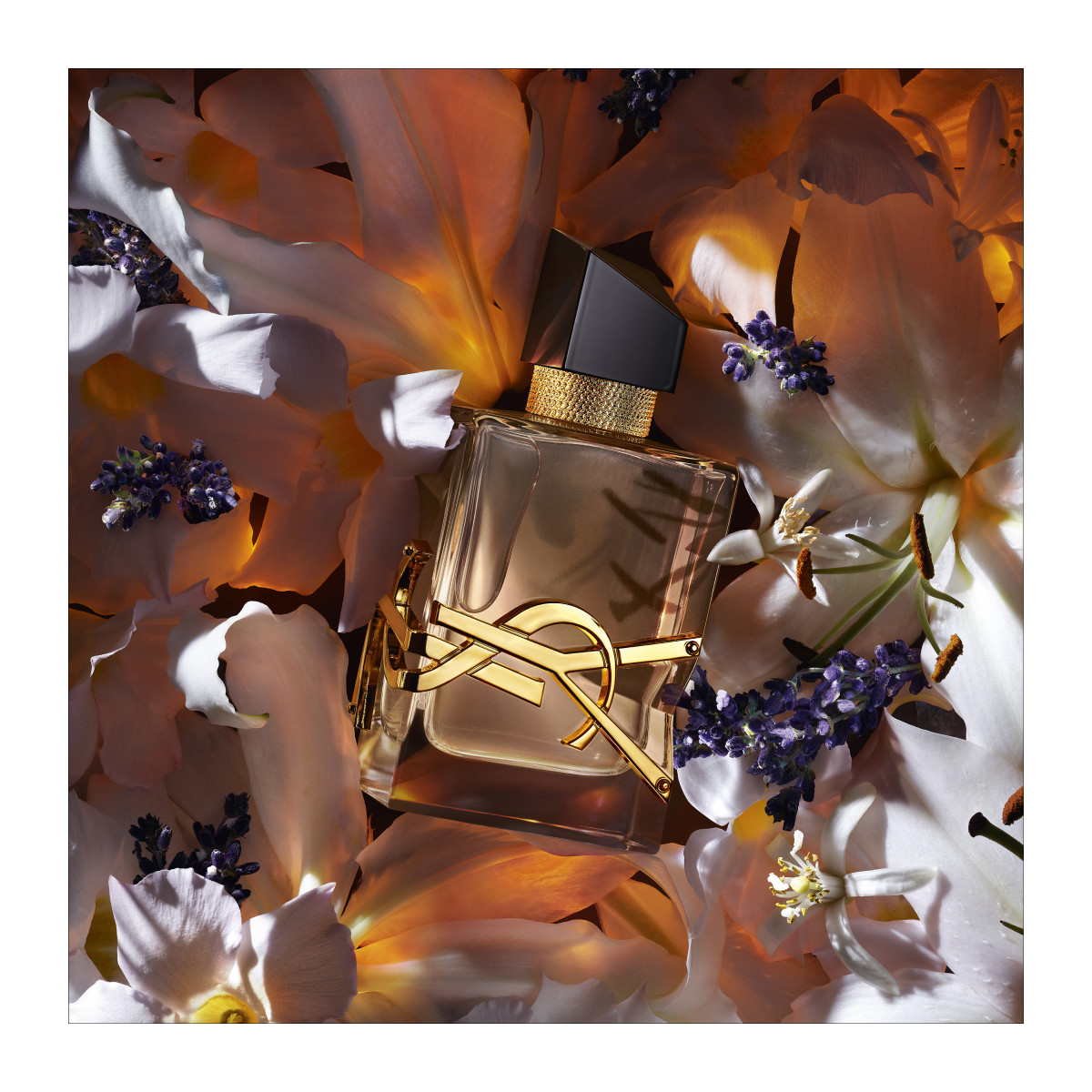 YVES SAINT LAURENT Libre Flowers & Flames Eau de Parfum Florale