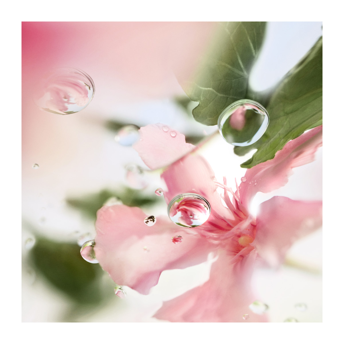 LANCÔME Ôver The Top Eau De Toilette | Hondos Center