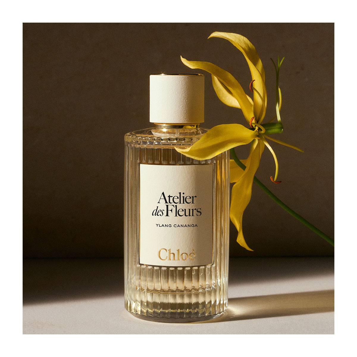 CHLOÉ Atelier Des Fleurs Ylang Cananga Eau De Parfum | Hondos Center