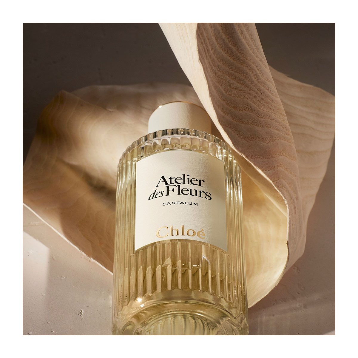 CHLOÉ Atelier Des Fleurs Santalum Eau De Parfum | Hondos Center