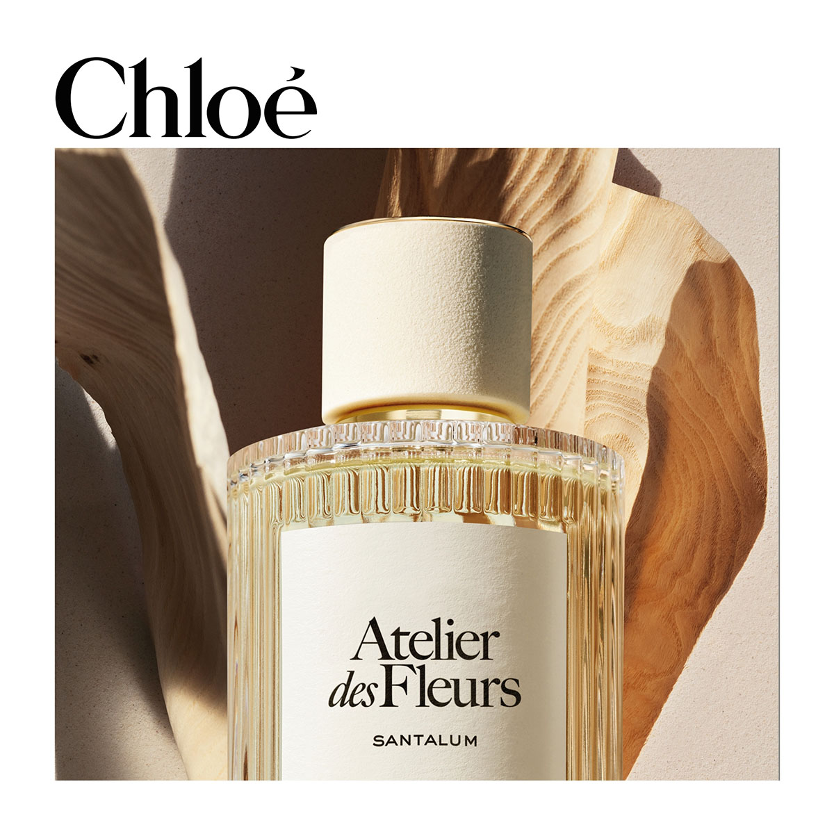 CHLOÉ Atelier Des Fleurs Santalum Eau De Parfum | Hondos Center