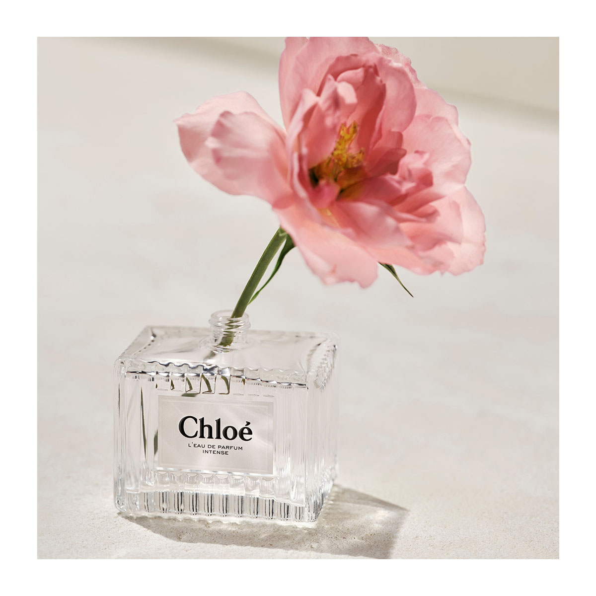 CHLOÉ Chloé Eau De Parfum Intense | Hondos Center