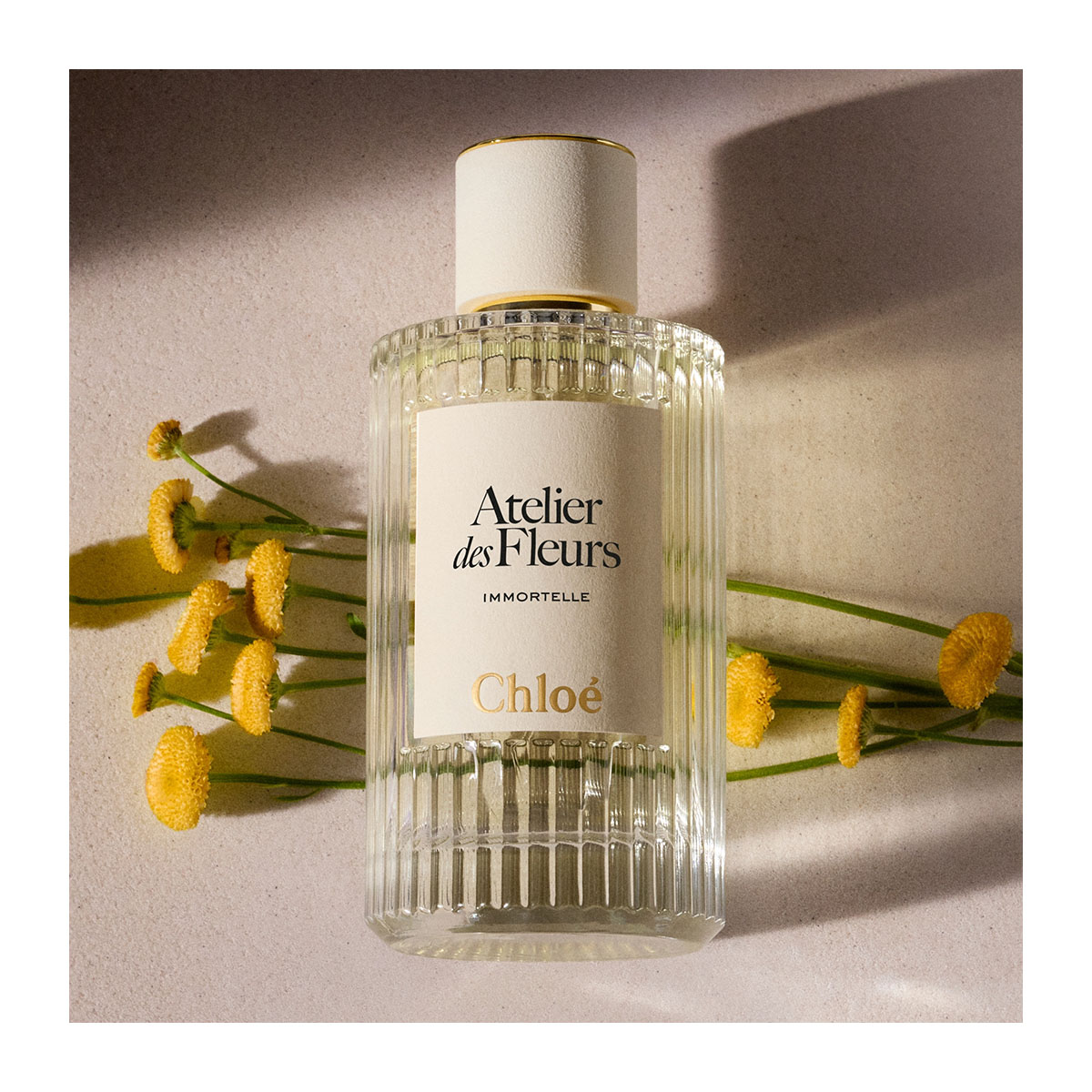 CHLOÉ Atelier Des Fleurs Immortelle Eau De Parfum | Hondos Center