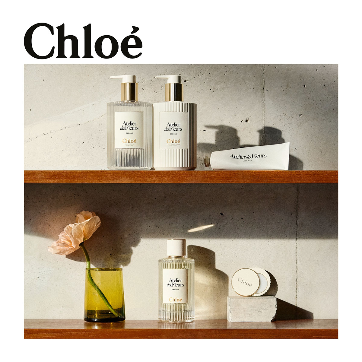 CHLOÉ Atelier Des Fleurs Cedrus Perfumed Body Lotion | Hondos Center