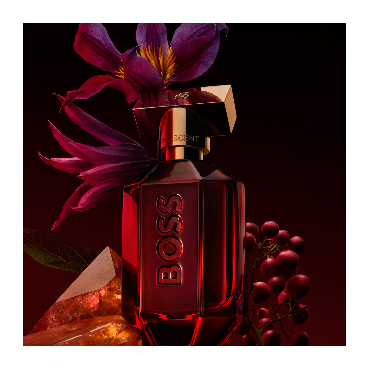 Boss The The Scent Absolute Fragrantica Hugo Boss Bottled Boss The