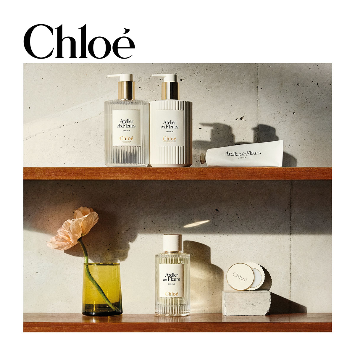 CHLOÉ Atelier Des Fleurs Cedrus Hand Cream | Hondos Center