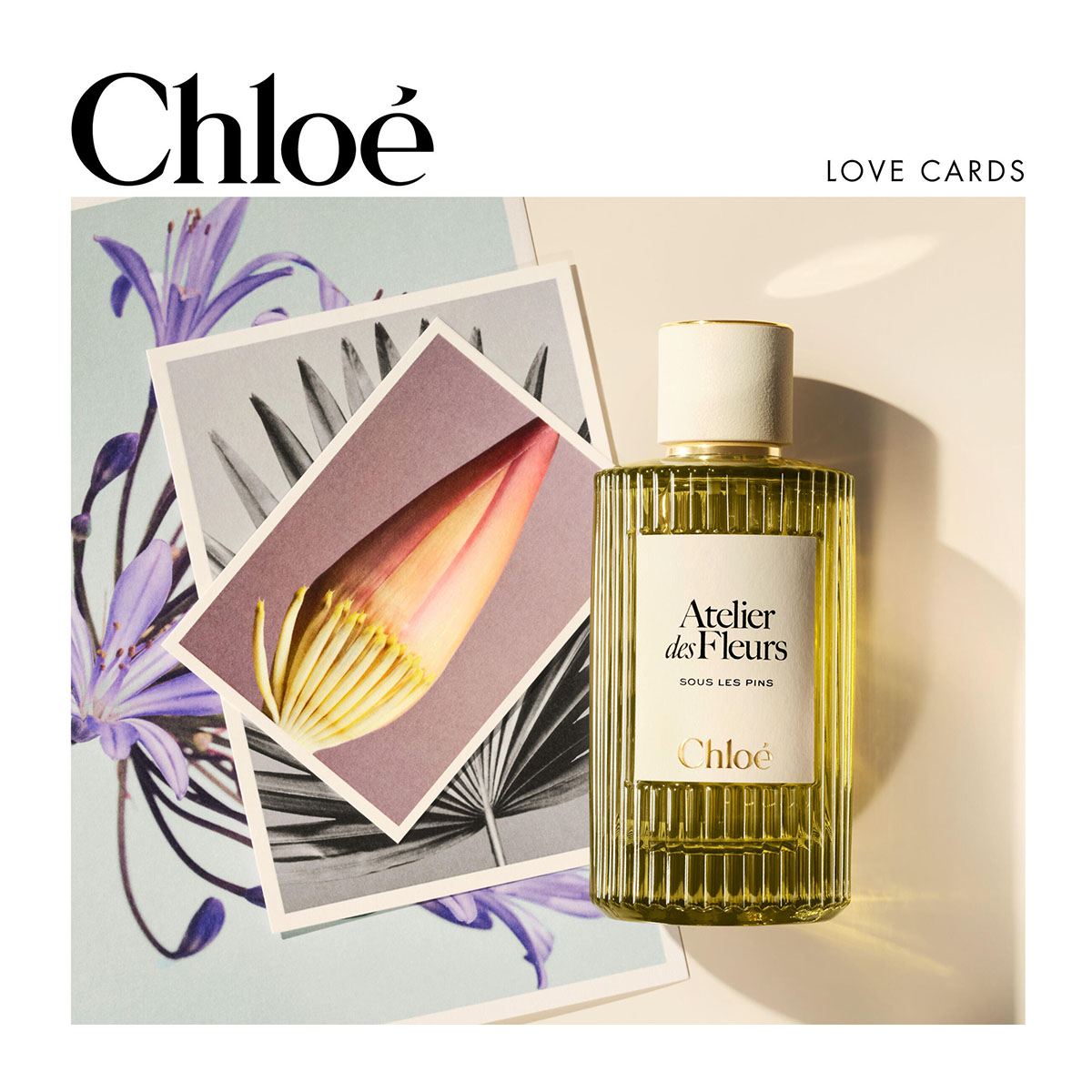 CHLOÉ Atelier Des Fleurs Sous Les Pins Eau De Parfum | Hondos Center