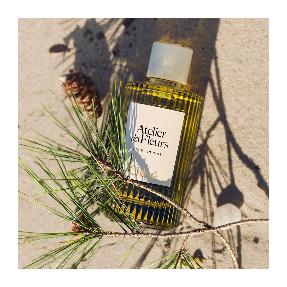 CHLOÉ Atelier Des Fleurs Sous Les Pins Eau De Parfum | Hondos Center