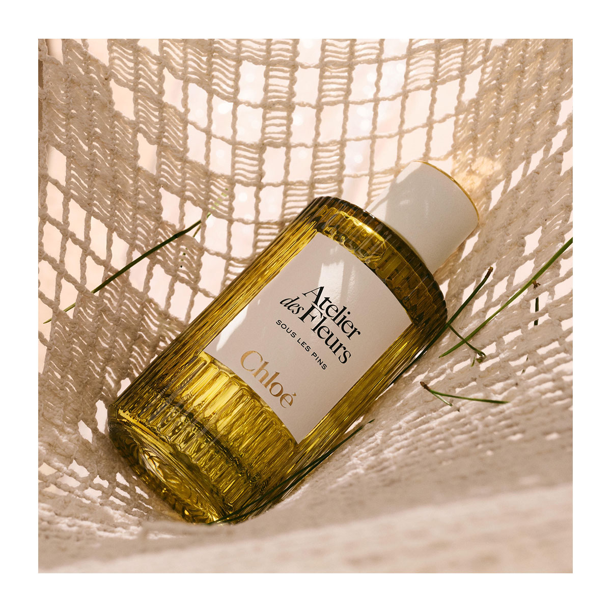 CHLOÉ Atelier Des Fleurs Sous Les Pins Eau De Parfum | Hondos Center