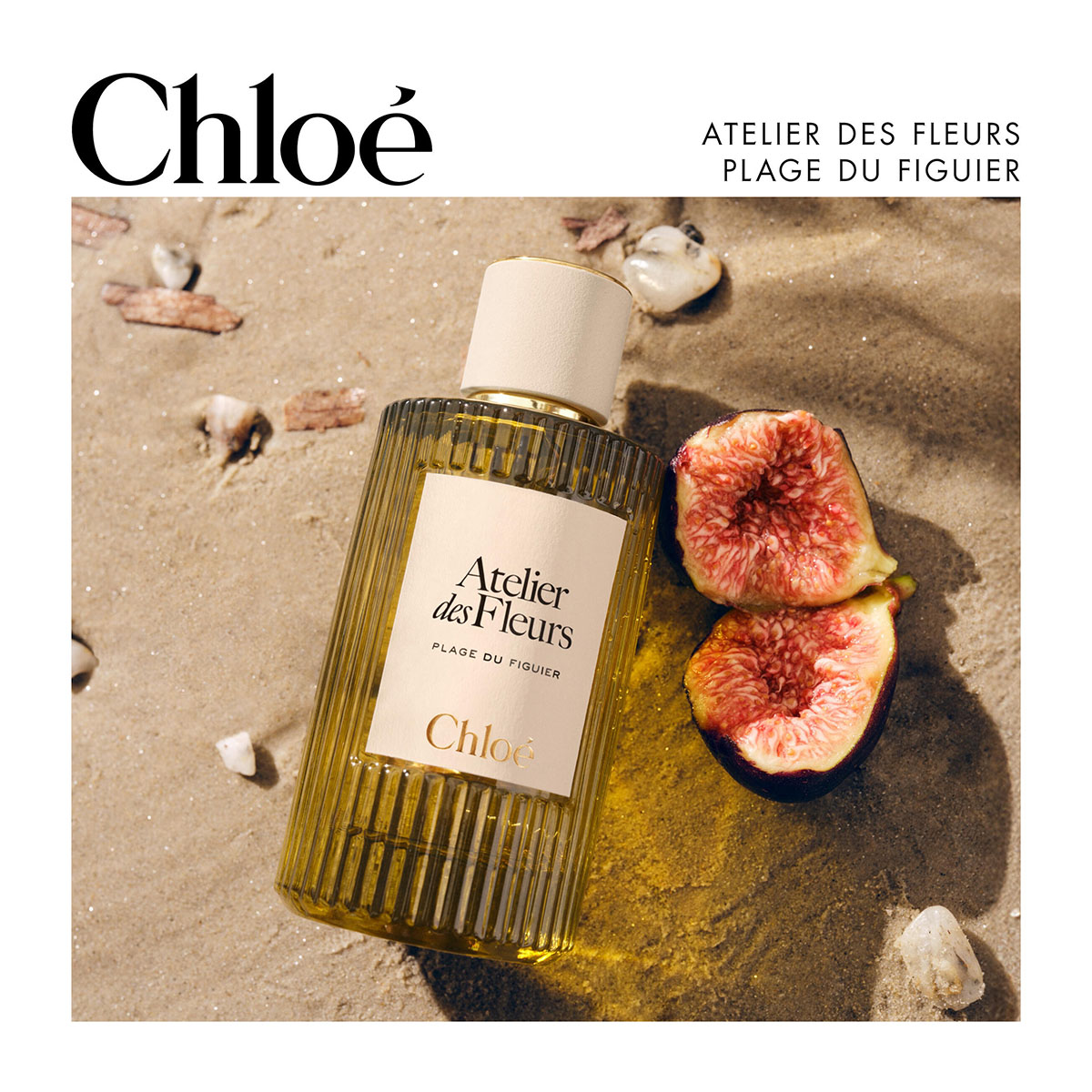 CHLOÉ Atelier Des Fleurs Plage Du Figuier Eau De Parfum | Hondos