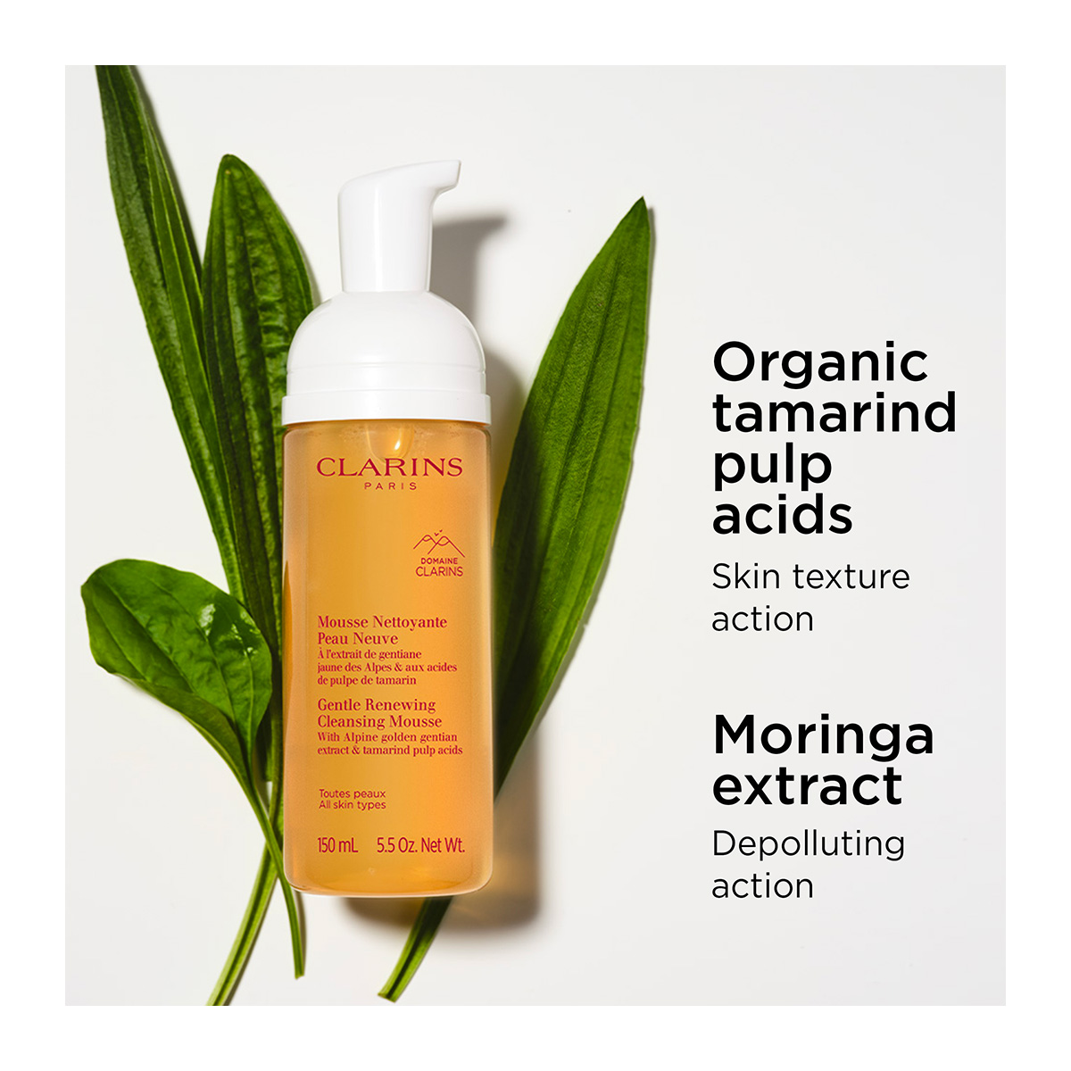 洗顔料 CLARINS Gentle Renewing Cleansing Mousse Gentle Renewing Cleansing Mousse - Lightweight Facial Mousse