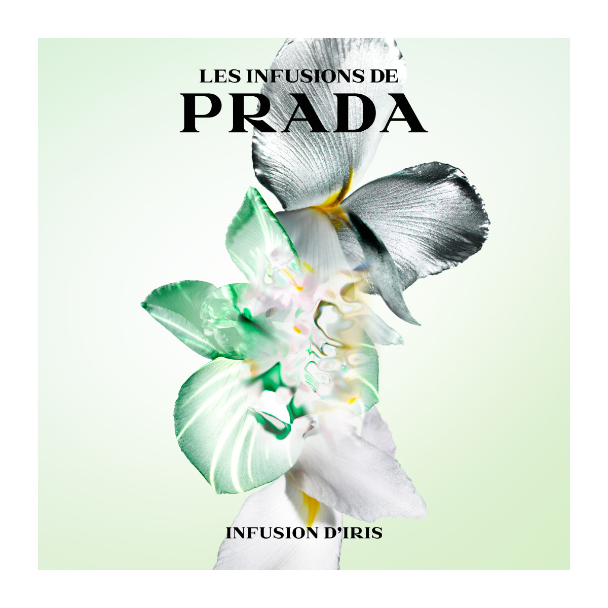 PRADA Les Infusions D'Iris Eau de Parfum | Hondos Center