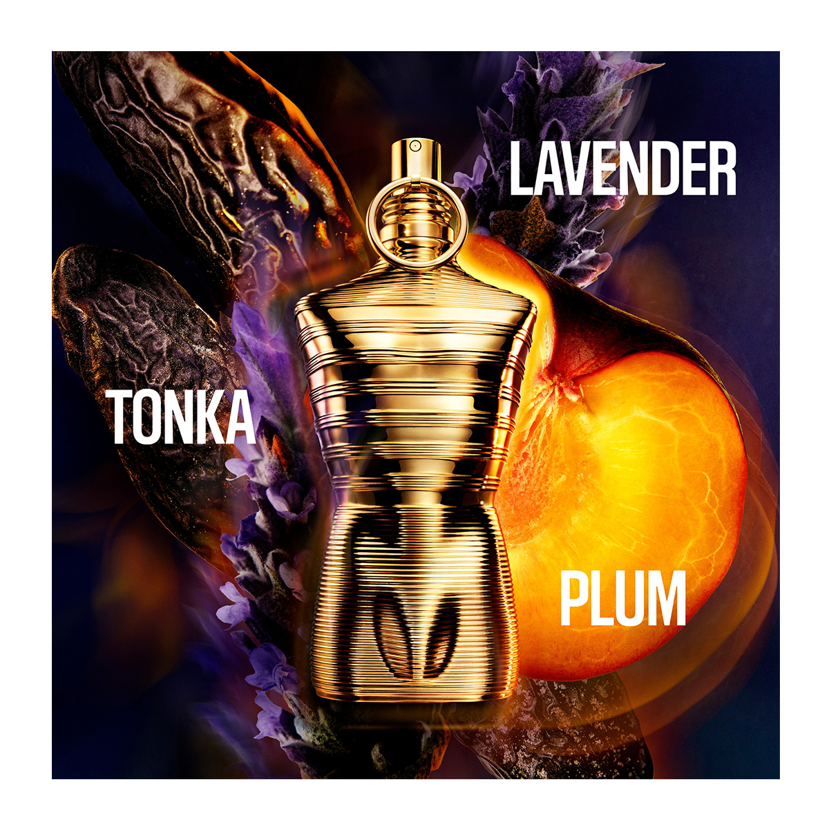 L*n様 Jean Paul Gaultier Le Male Elixir 1 u_8435415076944_03